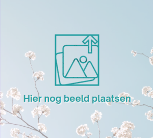 ALTIJD ALT TEKST INVULLEN EN EEN LOGISCHE URL MAKEN